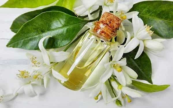 تصویر 2 از قیمت عرق بهار نارنج پامچال با کیفیت ارزان + خرید عمده